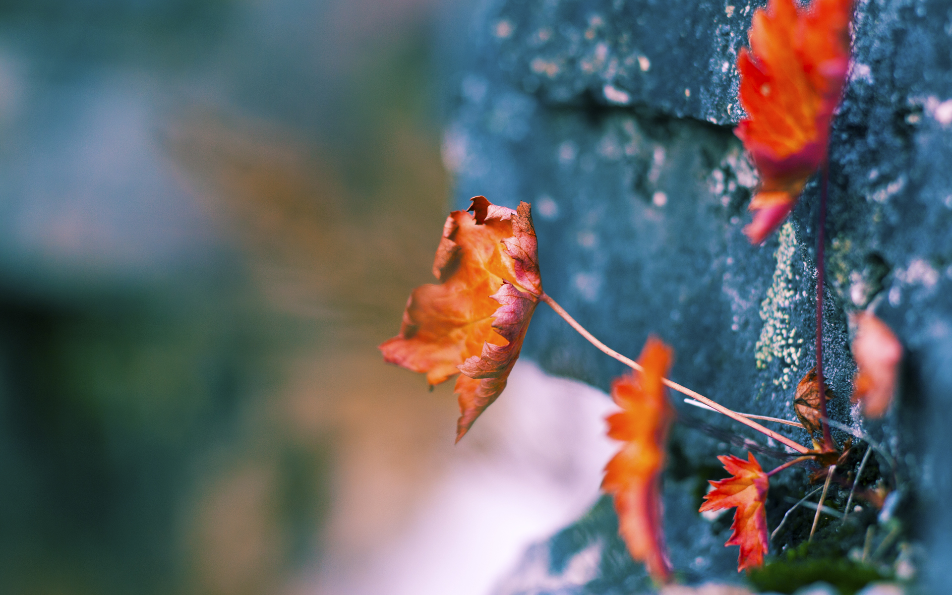 AYX官网-Dota 2 赛事直播观看人数屡创新高，dota2比赛观看人数