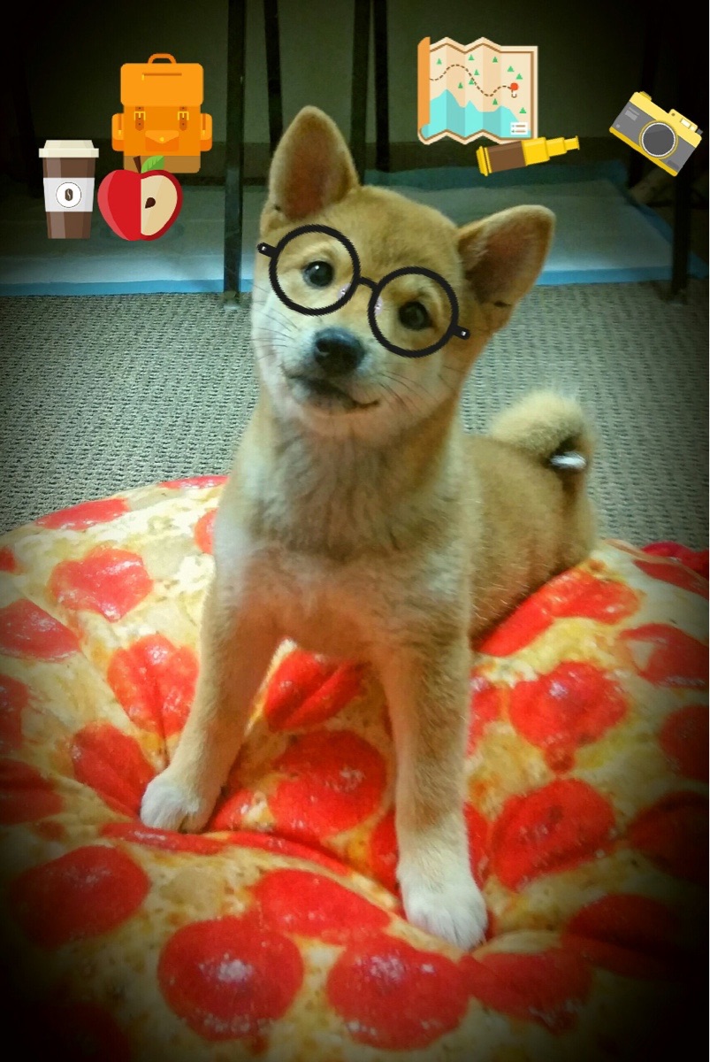 爱游戏 ayx 中国官方网站-_湖人队迎来反弹，连胜在望_，看一下湖人队