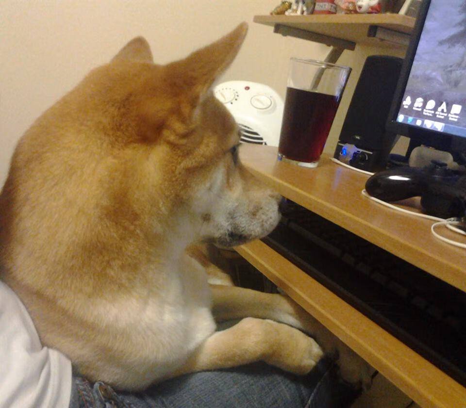 爱游戏体育网页版-_运动科普讲座：普及科学运动知识_，运动知识健康科普