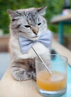 “英超新星崭露头角，成为球队未来希望”，英超新赛季前瞻