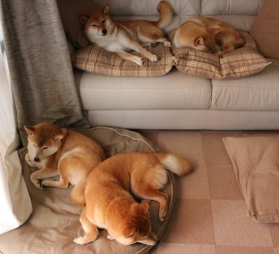 《虚拟偶像与电竞：未来娱乐新局面》，虚拟偶像是否利大于弊