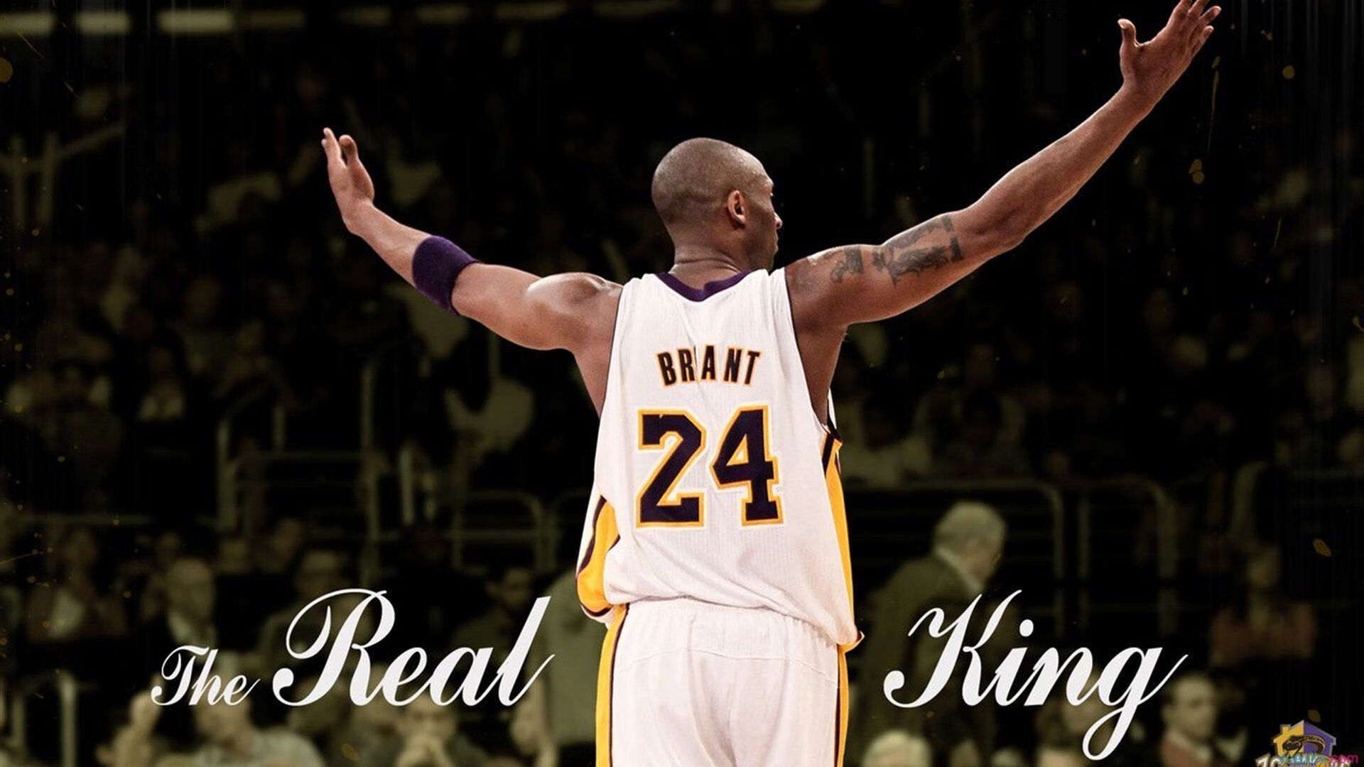 世界赛车锦标赛:速度王者的巅峰对决,世界赛车冠军是谁