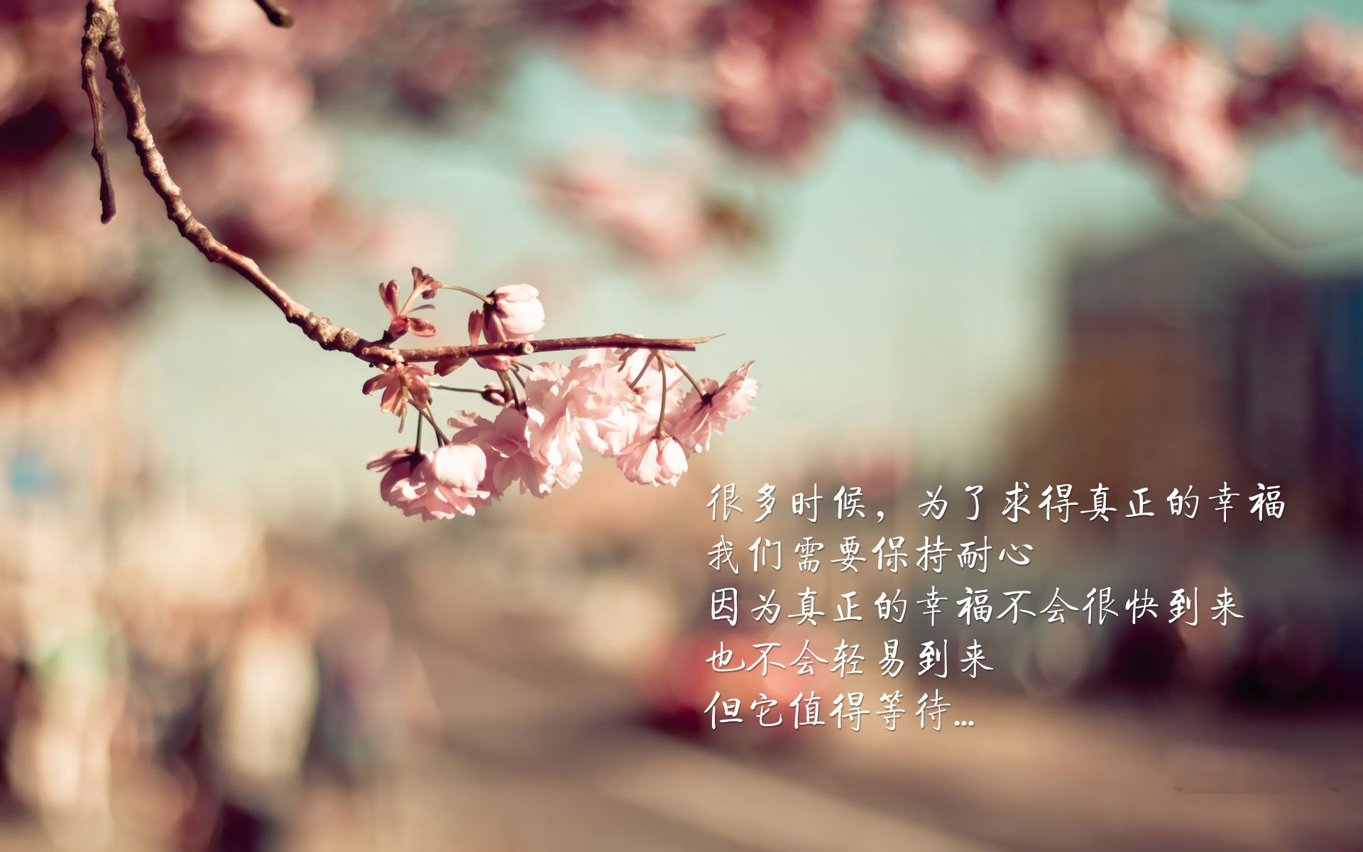 全国青少年“篮球梦”系列巡讲走进甘肃陇南,点亮乡村孩子的梦想