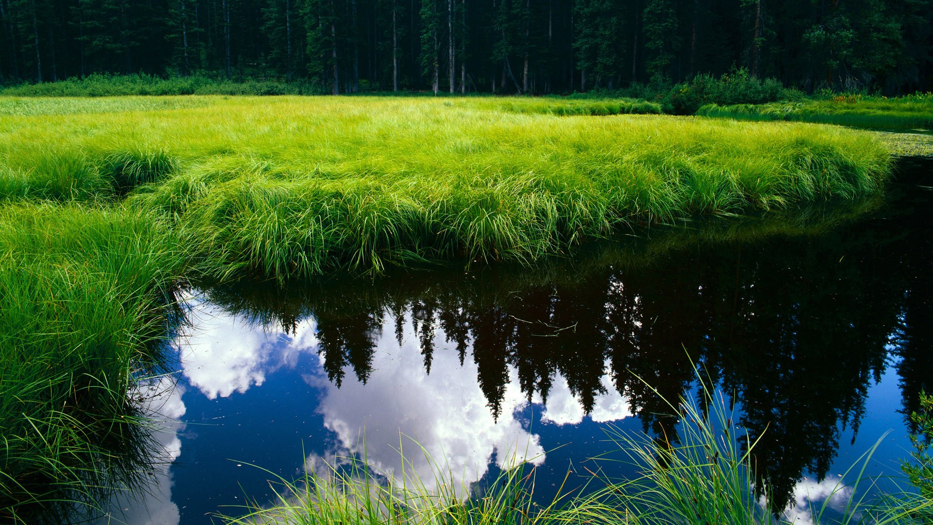 全国青少年“篮球梦”系列巡讲走进甘肃陇南,点亮乡村孩子的梦想