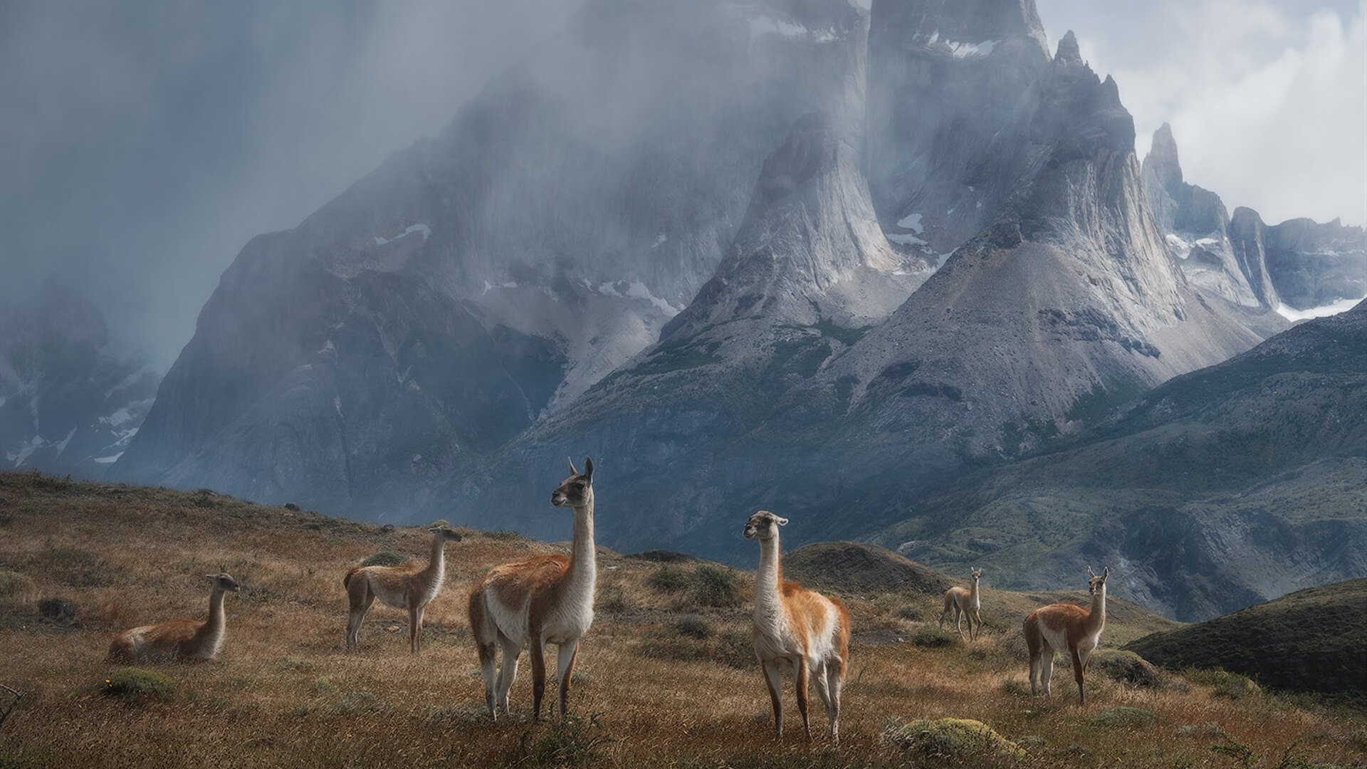 爱游戏官方-影响深远：“绿色篮球”环保行动深入每场比赛，绿色环保行动活动项目有哪些