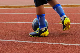 爱游戏电竞-蛙泳对决奥地利游出新速度，奥运会蛙游泳决赛视频